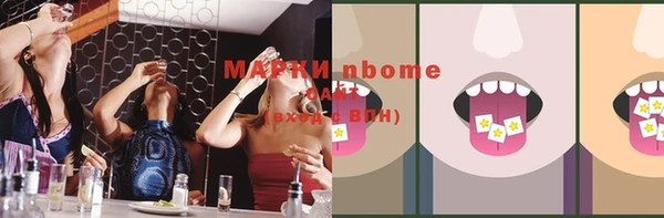 индика Алексин