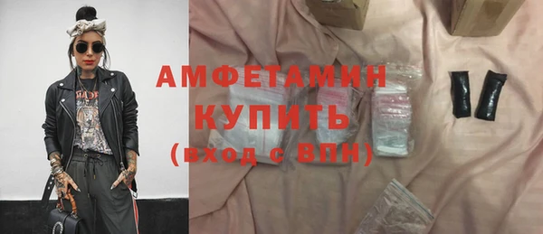 индика Алексин