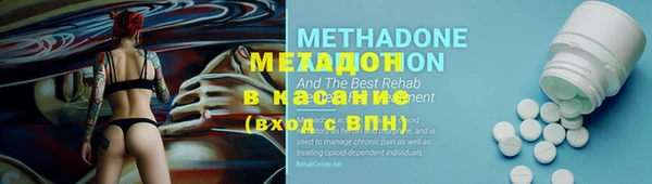 индика Алексин