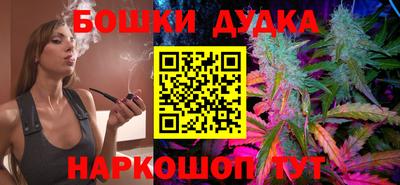 шишки Будённовск
