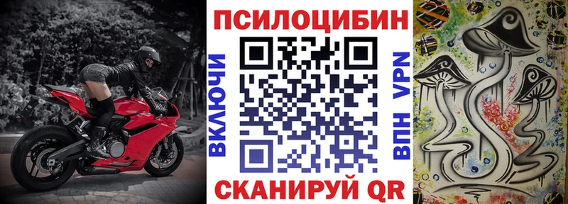 это Telegram  Дмитров  Псилоцибиновые грибы Magic Shrooms 