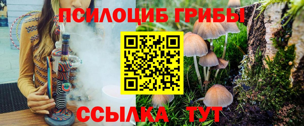 Псилоцибиновые грибы прущие грибы  Вход с VPN  цены наркотик  Дмитров 