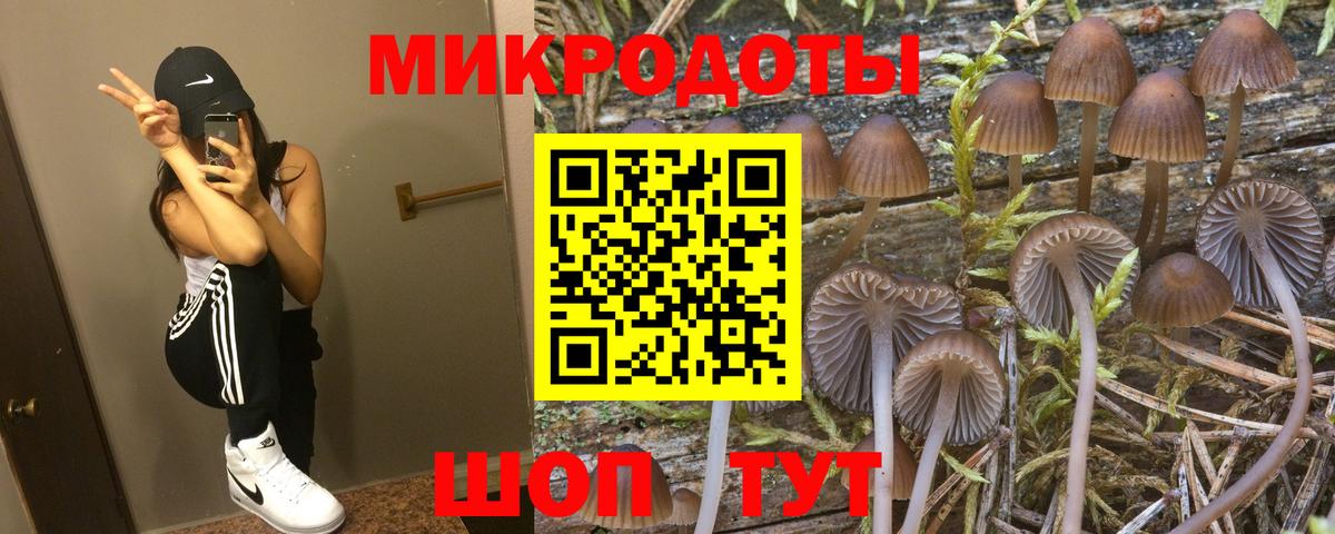 Галлюциногенные грибы прущие грибы Дмитров